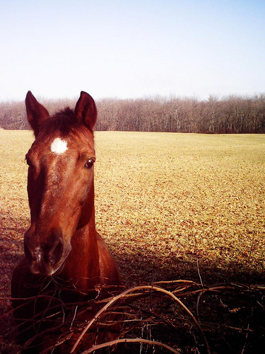 Down the road, by humanwarmth@flickr