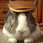 Oolong the rabbit balancing dorayaki cake